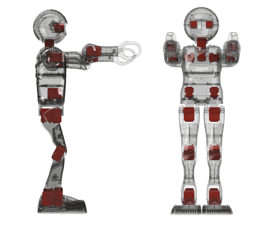 Coronal and saggital images of the NUgus robot